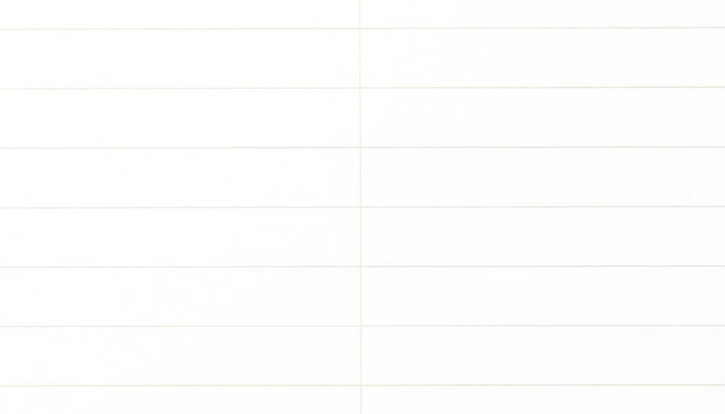 Field Notes Steno Block