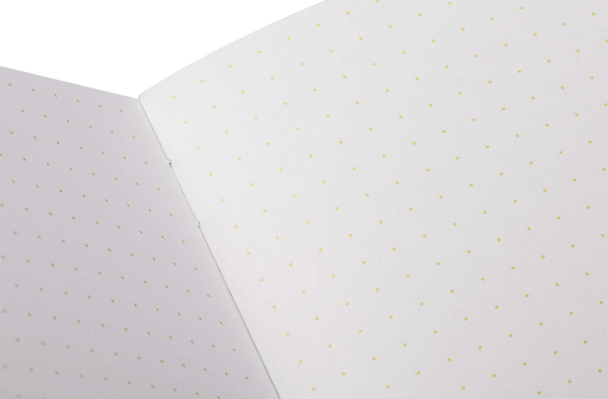 Field Notes Paletas Notebooks